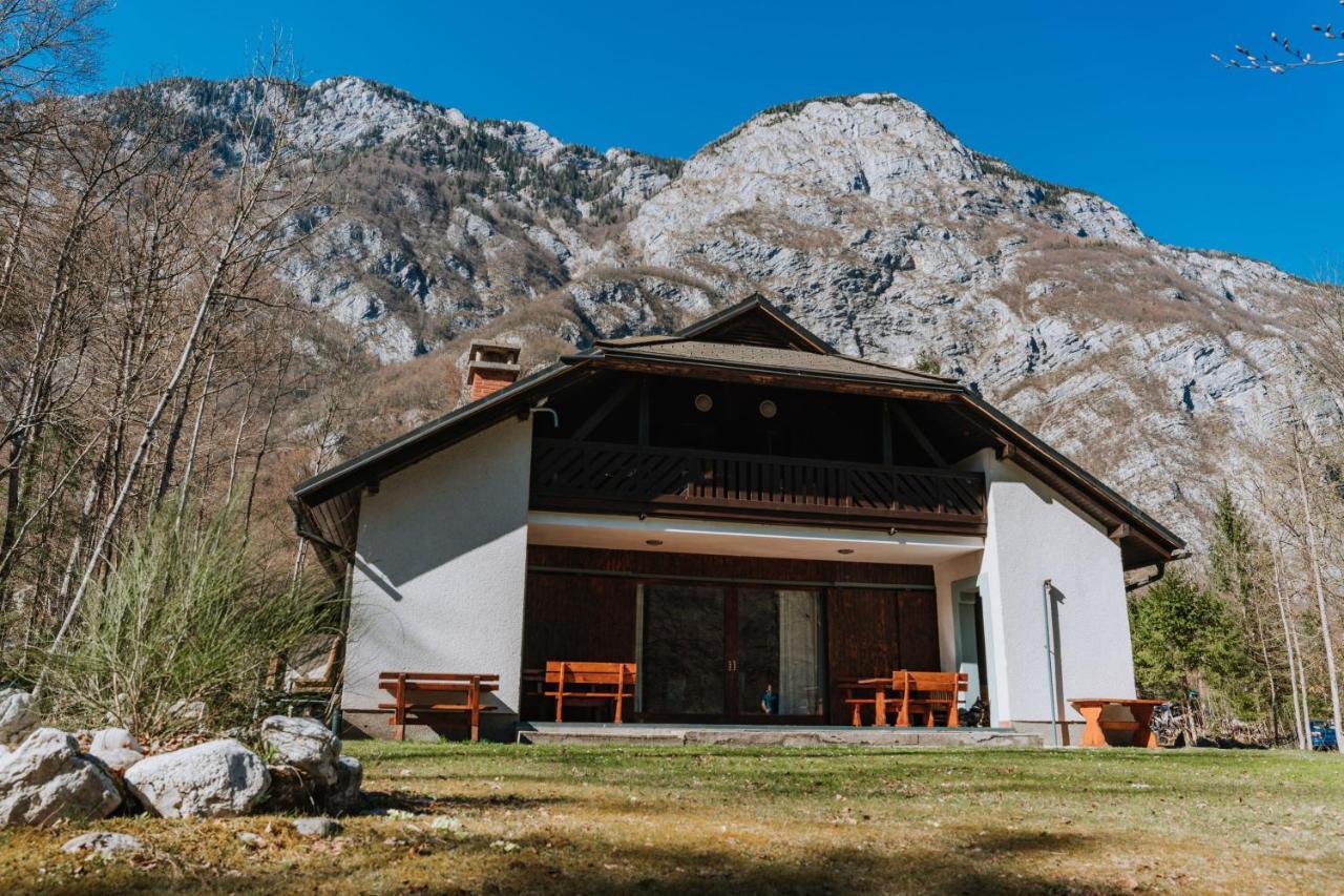 Tuba Apartments Bohinj Eksteriør bilde