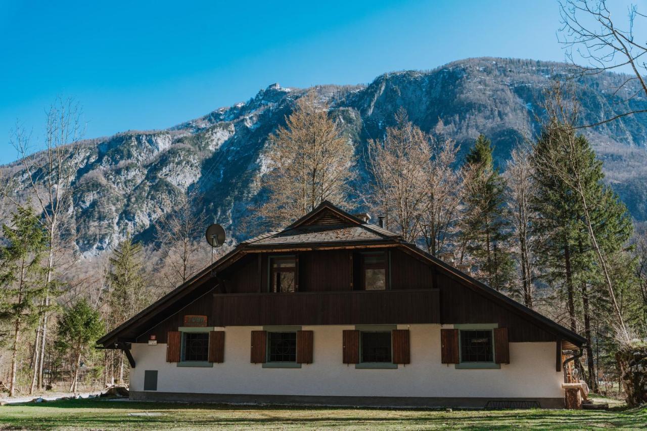 Tuba Apartments Bohinj Eksteriør bilde